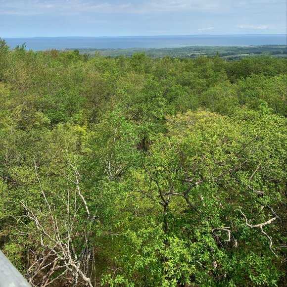 Meet your Posher, Trevor - Picture 1 of 1